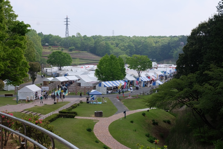 益子陶炎祭～つつじ山公園～フラワーパーク_d0153294_21102276.jpg