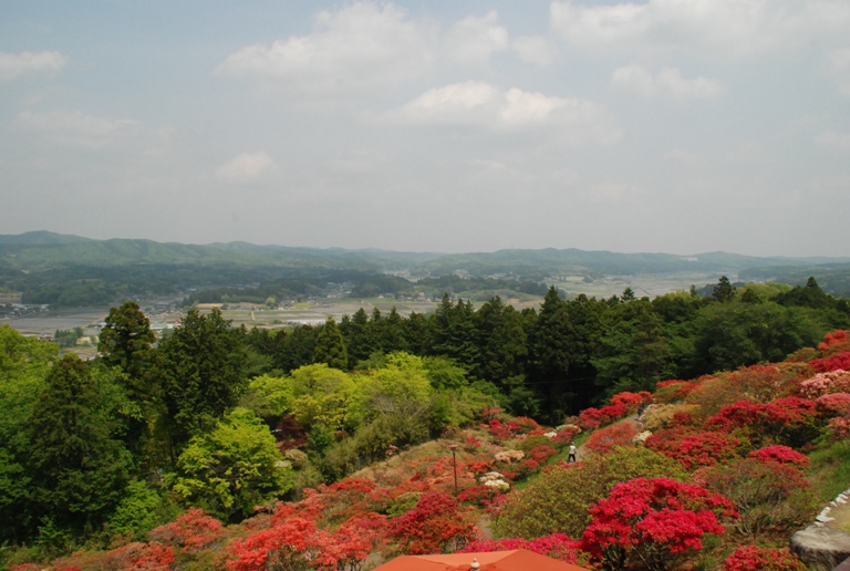 益子陶炎祭～つつじ山公園～フラワーパーク_d0153294_2115768.jpg