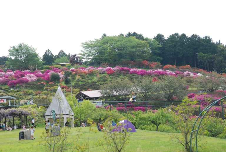 益子陶炎祭～つつじ山公園～フラワーパーク_d0153294_21174978.jpg