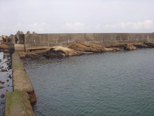 e0147297_1741229.jpg