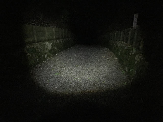 b0362900_16323964.jpg