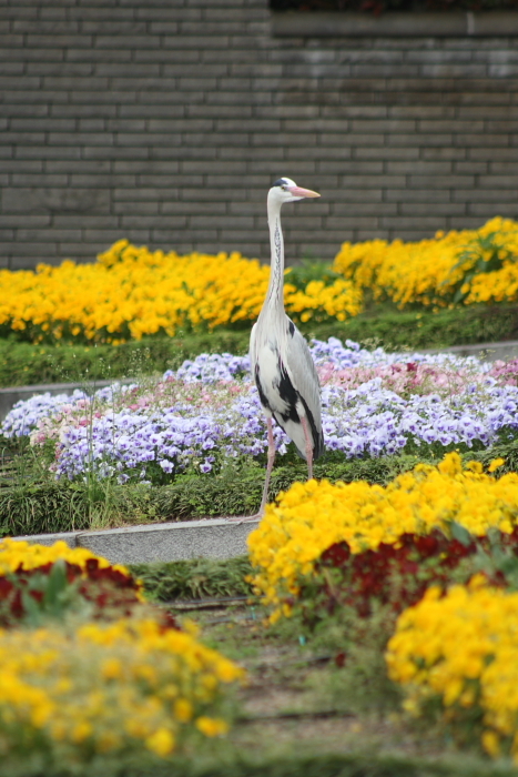 f0083400_00243200.jpg