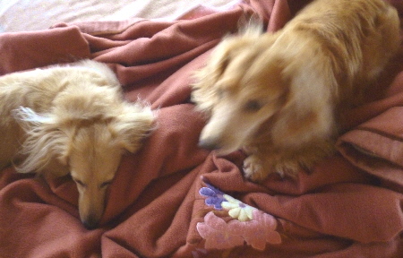 f0178701_11463562.jpg