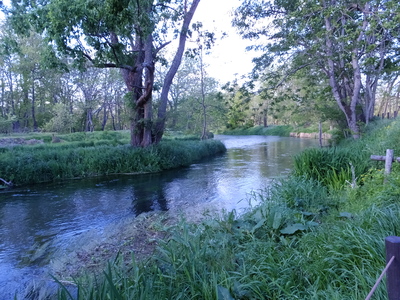 a0160407_99688.jpg