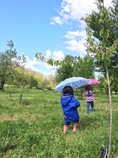 a0142810_02113026.jpeg