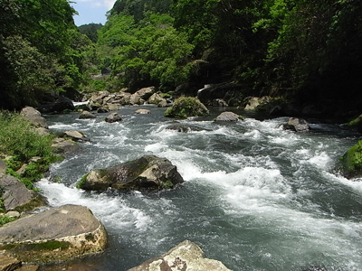 a0277118_22405611.jpg