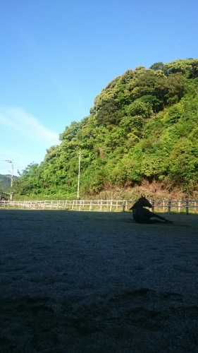 b0187620_21522960.jpg