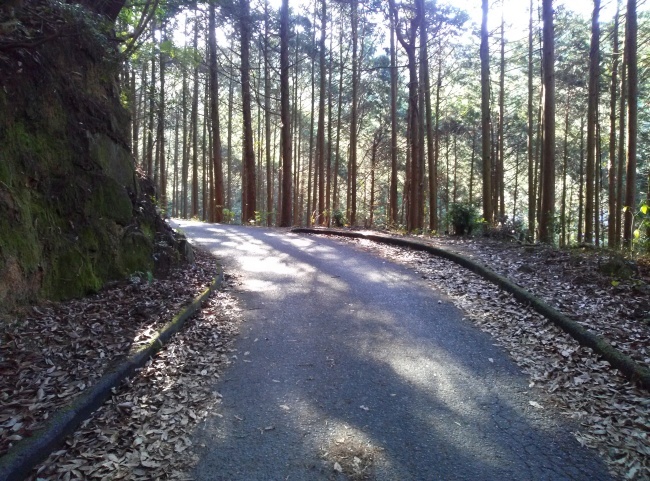 b0291820_20002875.jpeg