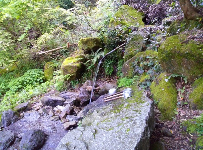 b0291820_20025934.jpeg