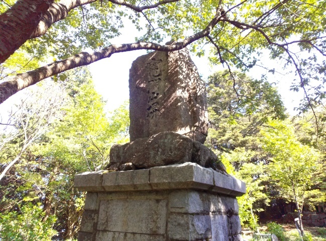 b0291820_20344100.jpeg