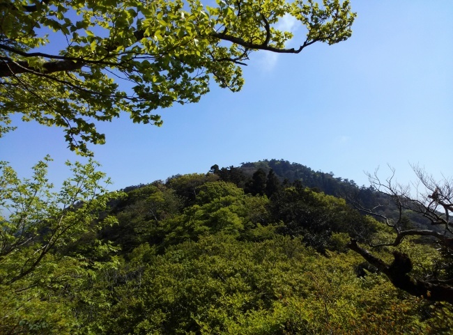 b0291820_20373824.jpeg