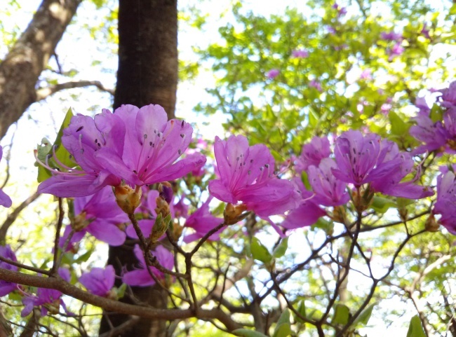 b0291820_20383645.jpeg