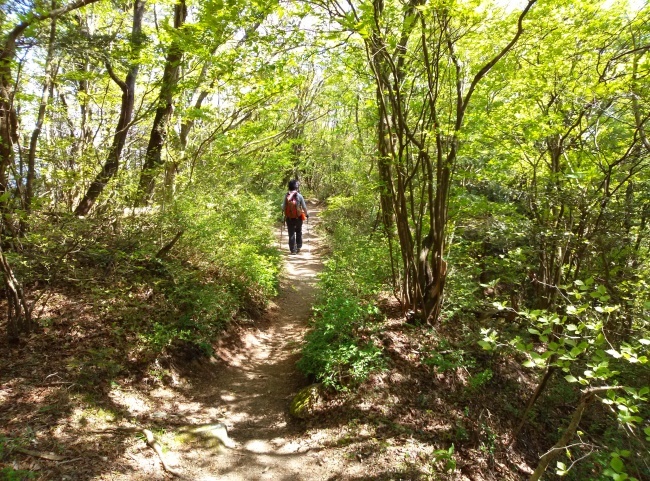 b0291820_20390550.jpeg