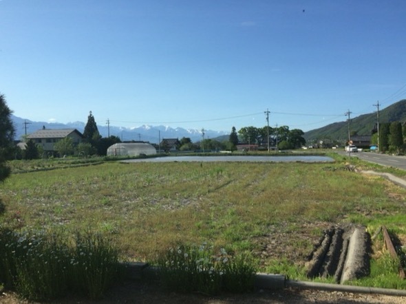 b0228428_22322763.jpeg
