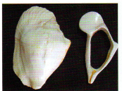 a0300530_07255633.png