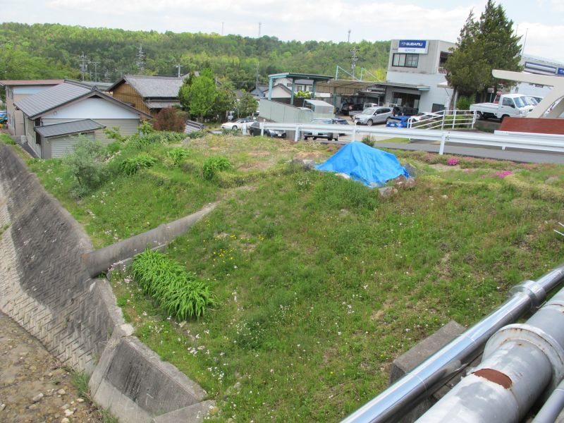 R1の凄さを再認識:前編_f0076731_10575369.jpg