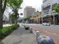 ウォーキング「都田～浜松駅、浜松まつり」編_a0063538_1154920.jpg