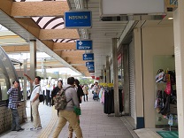 ウォーキング「都田～浜松駅、浜松まつり」編_a0063538_1161540.jpg