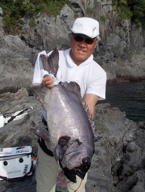 伊豆半島　菖蒲沢のイシダイ７０ｃｍ_f0233541_10574370.jpg