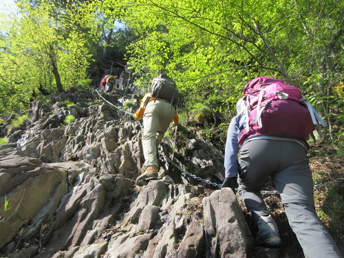 2016年5月4日　春山山行　犬ケ岳　求菩提山_e0245655_7444821.jpg