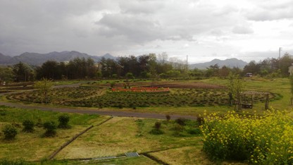 c0190960_21201932.jpg