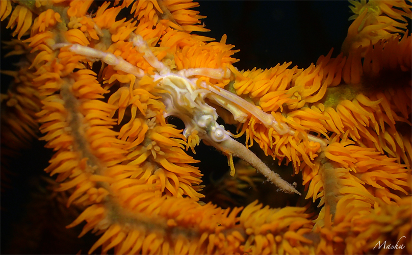 e0158261_2075293.jpg