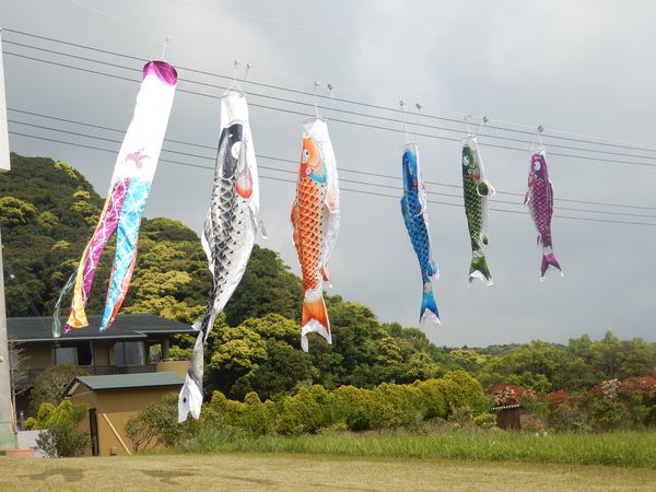 ’16,5,5(木)こどもの日とBBH散歩!_f0060461_1385628.jpg