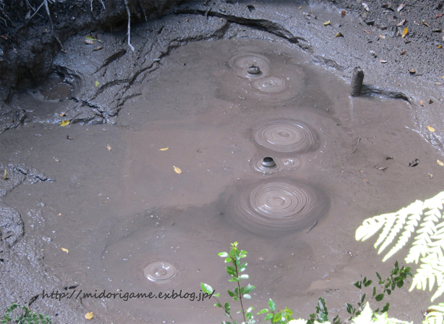 世界の温泉　#７ ニュージーランド「ロトルア」Wai-o-Tapu_a0027862_2284396.jpg