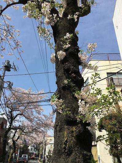 b0145863_23102311.jpg