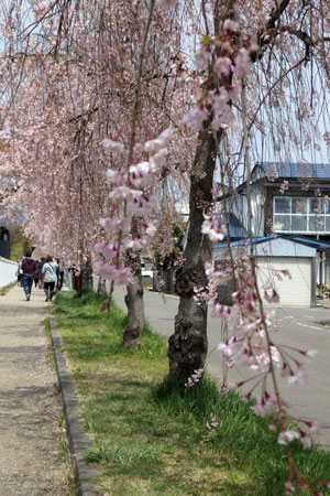 c0050264_2245273.jpg
