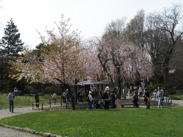 d0150967_2233248.jpg