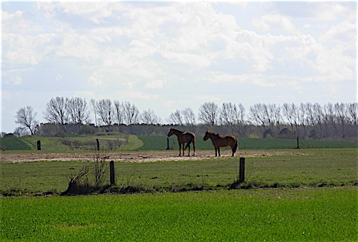 e0357367_005356.jpg
