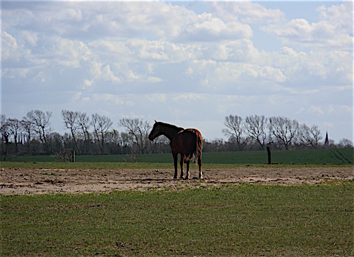 e0357367_014525.jpg