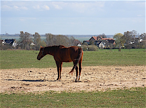 e0357367_015758.jpg