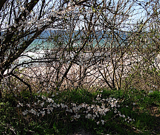 e0357367_0163088.jpg
