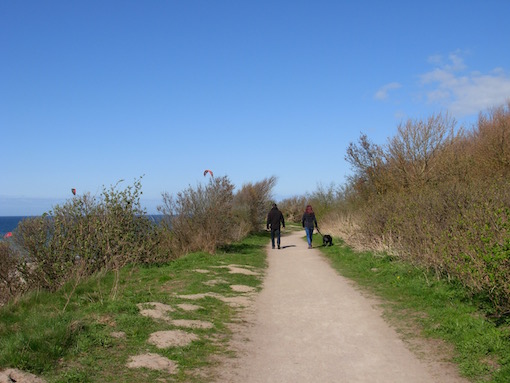 e0357367_074516.jpg