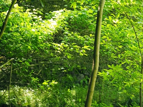 e0264374_19340249.jpg