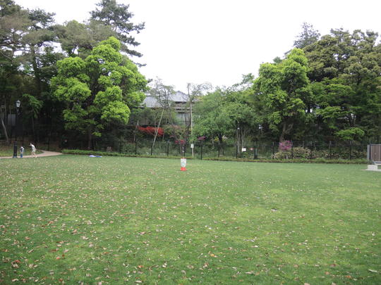 e0232277_9543054.jpg
