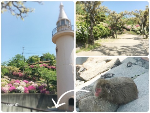 e0346387_03013146.jpeg