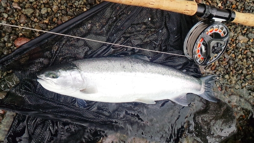a0118989_23122457.jpg