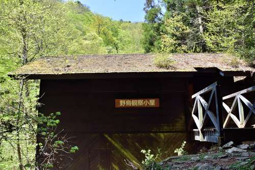 e0241691_20594324.jpg