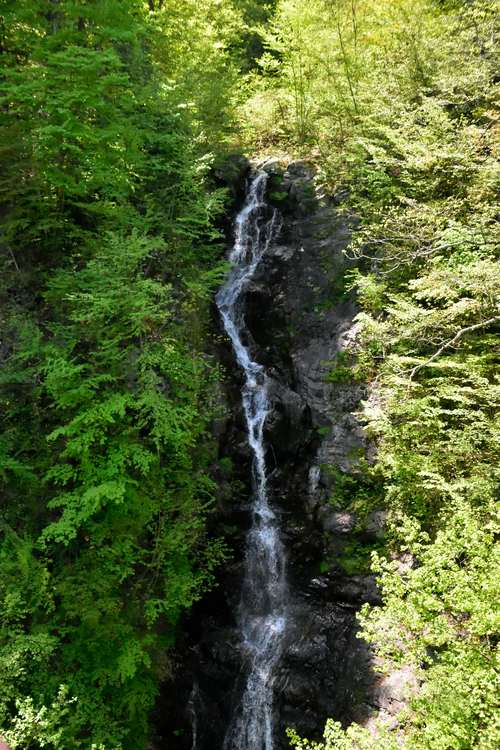 e0241691_2135519.jpg