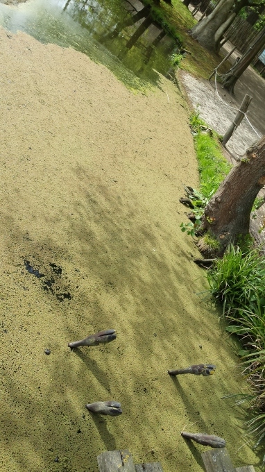 e0344492_20190099.jpg