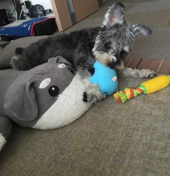 b0188998_21471514.jpeg