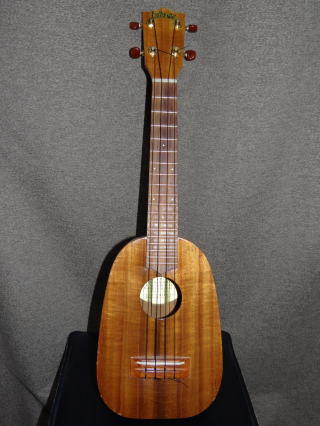 販売超高品質 イサックリーバスのアルマジロチャランゴ 弦楽器