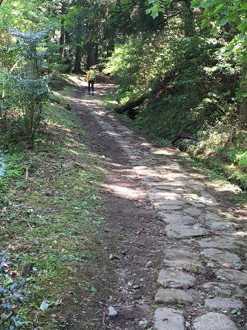 b0362900_147195.jpg