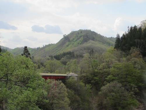 白川ダム湖畔の山道を散歩する　５月５日　（立夏　初候）　蛙始めて鳴く　・１_c0075701_1115844.jpg