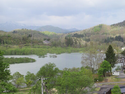 白川ダム湖畔の山道を散歩する　５月５日　（立夏　初候）　蛙始めて鳴く　・１_c0075701_1123828.jpg