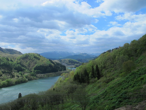 白川ダム湖畔の山道を散歩する　５月５日　（立夏　初候）　蛙始めて鳴く　・１１_c0075701_1434397.jpg