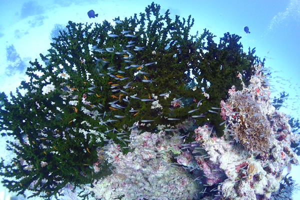 f0121701_19545547.jpg